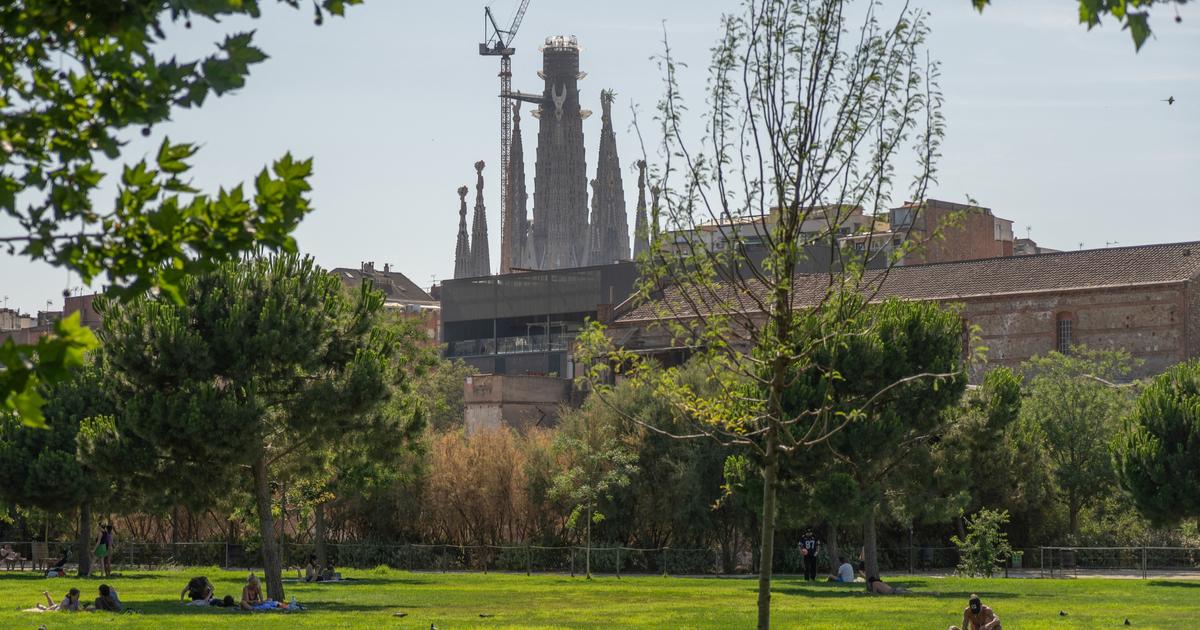 La tour la plus Ã©levÃ©e de la Sagrada Familia se dressera Ã  172 mÃ¨tres dans le ciel de...