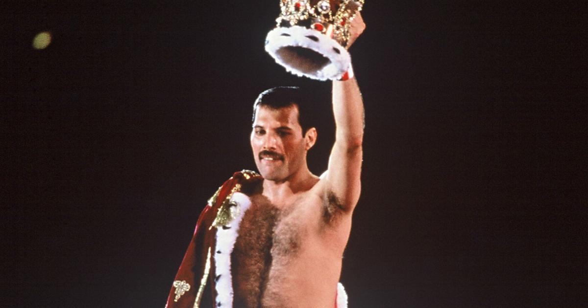 Freddie Mercury père d’une fille cachée ? Elle brise enfin le silence : “Les gens pensaient que j’étais sa nièce”