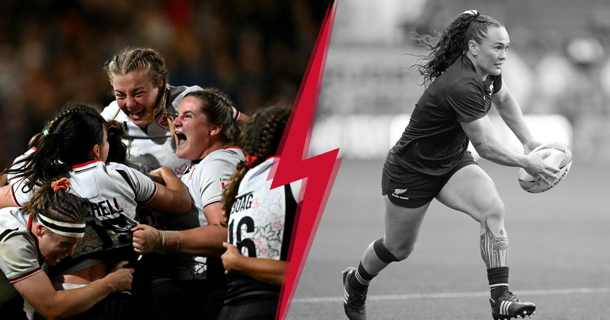 Northern Ferns: Wind Show Favorites & Photos