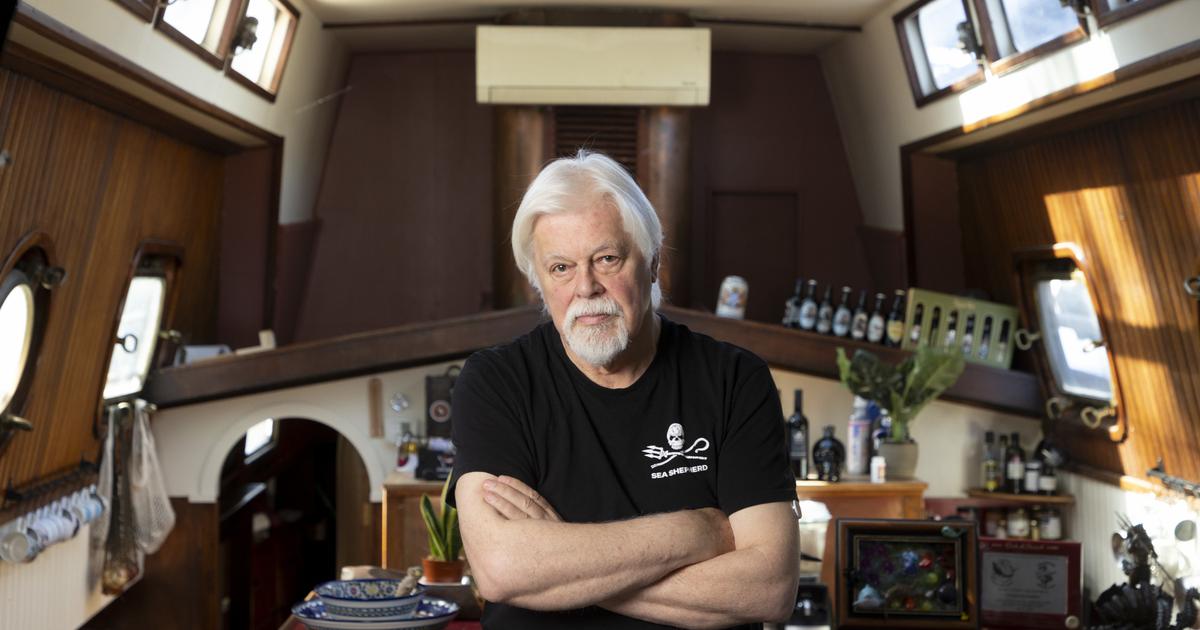 Paul Watson : «La droite me traite de gauchiste et la gauche me traite de fasciste !»