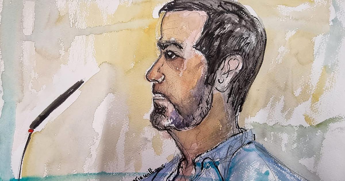 Nordahl Lelandais condamnÃ© Ã  un an de prison et privÃ© dâ€™autoritÃ© parentale pour...