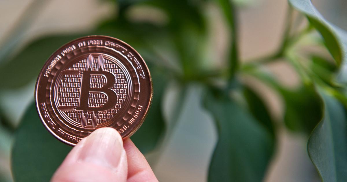 Il rÃ©active son compte inactif depuis 12 ans de 1000 bitcoins qui valent dÃ©sormais... 117...