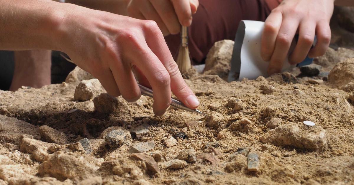 Sapiens ou Néandertal ? Découvertes en Charente-Maritime, des perles en coquillage vieilles de 40.000 ans relancent un vieux débat