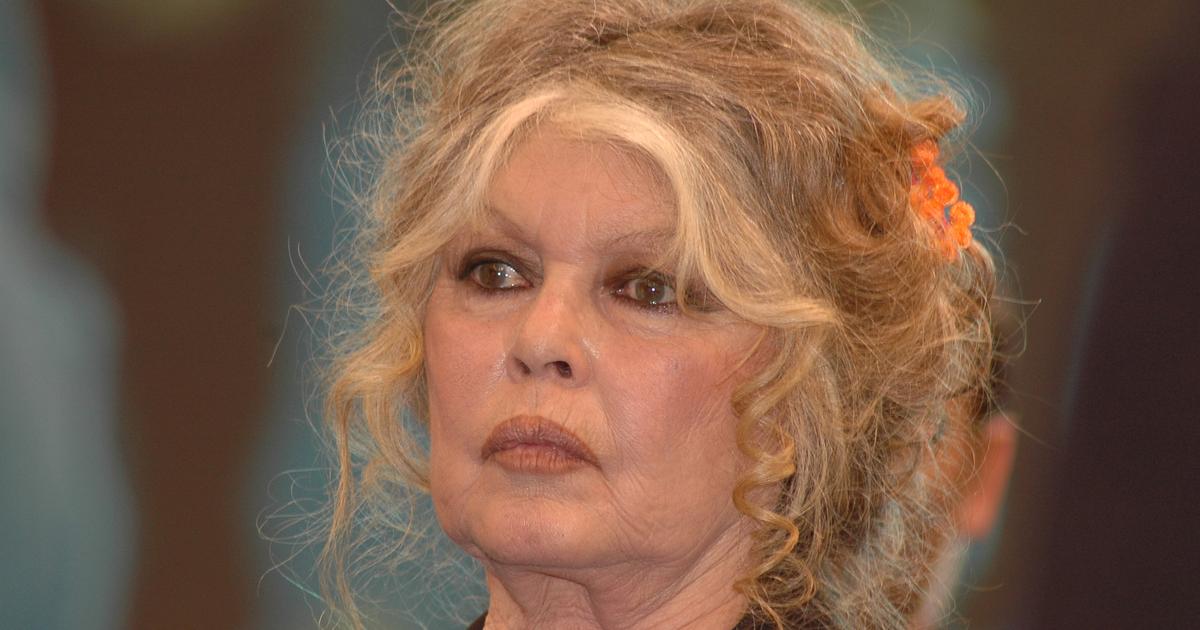 Brigitte Bardot, son dernier coup gueule ne vous laissera pas indifférent : “C’est scandaleux, monstrueux !”