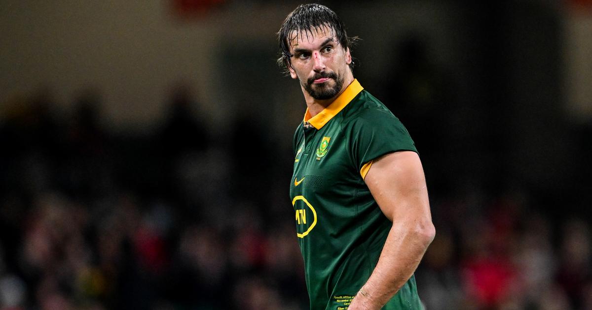 Rugby Championship : Etzebeth et De Allende de retour avec les ...