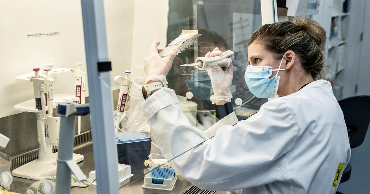 Les Â«bactÃ©ries cauchemardesquesÂ», rÃ©sistantes aux antibiotiques, en forte hausse aux...