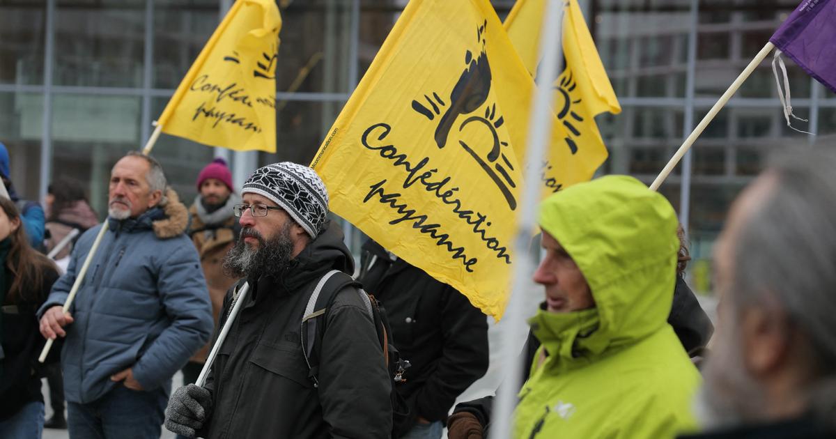 La Confédération paysanne appelle à manifester à Paris le 14 octobre contre l’accord UE-Mercosur