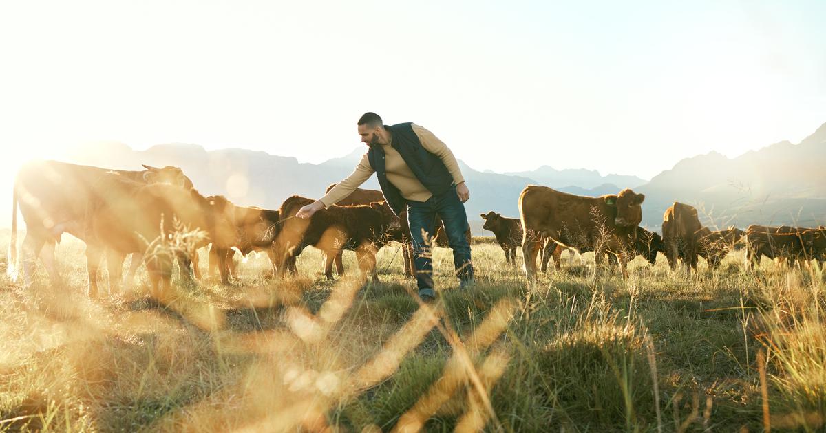 Anciens ouvriers, jeunes cadres, reconvertis des classes moyennes… Le profil des nouveaux agriculteurs, loin des clichés