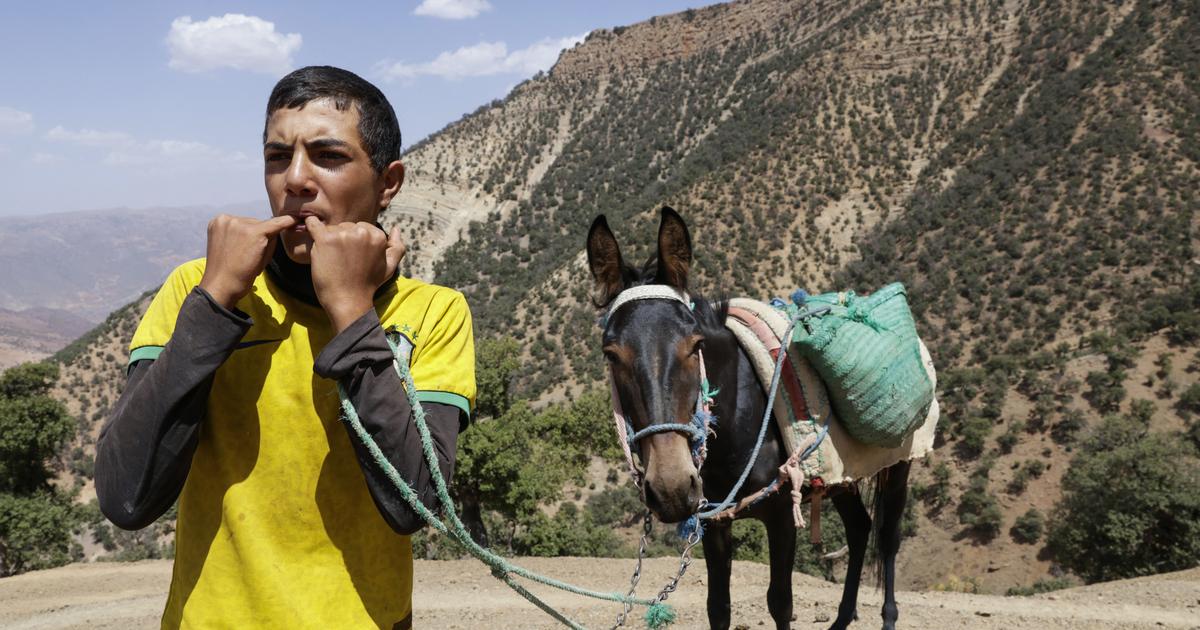 Dans le Haut-Atlas marocain, la langue sifflée menacée de disparition