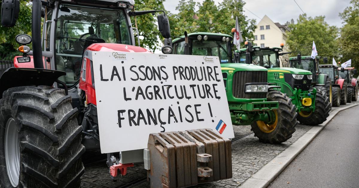 EN DIRECT – Mercosur, taxes imposées par Trump… Les agriculteurs mobilisés pour dénoncer des importations «aberrantes»