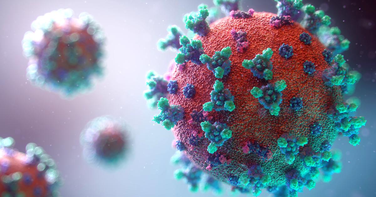  qu'est-ce que «Frankenstein», le nouveau variant du virus ?