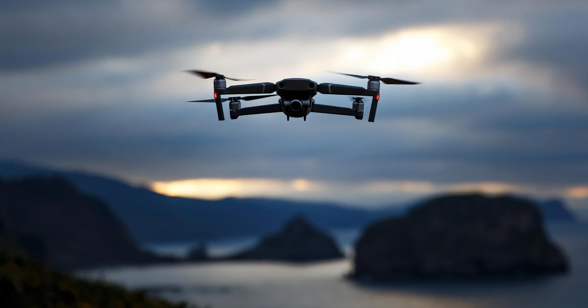 AprÃ¨s un nouvel incident, lâ€™Allemagne va s'autoriser Ã  abattre des drones en cas...