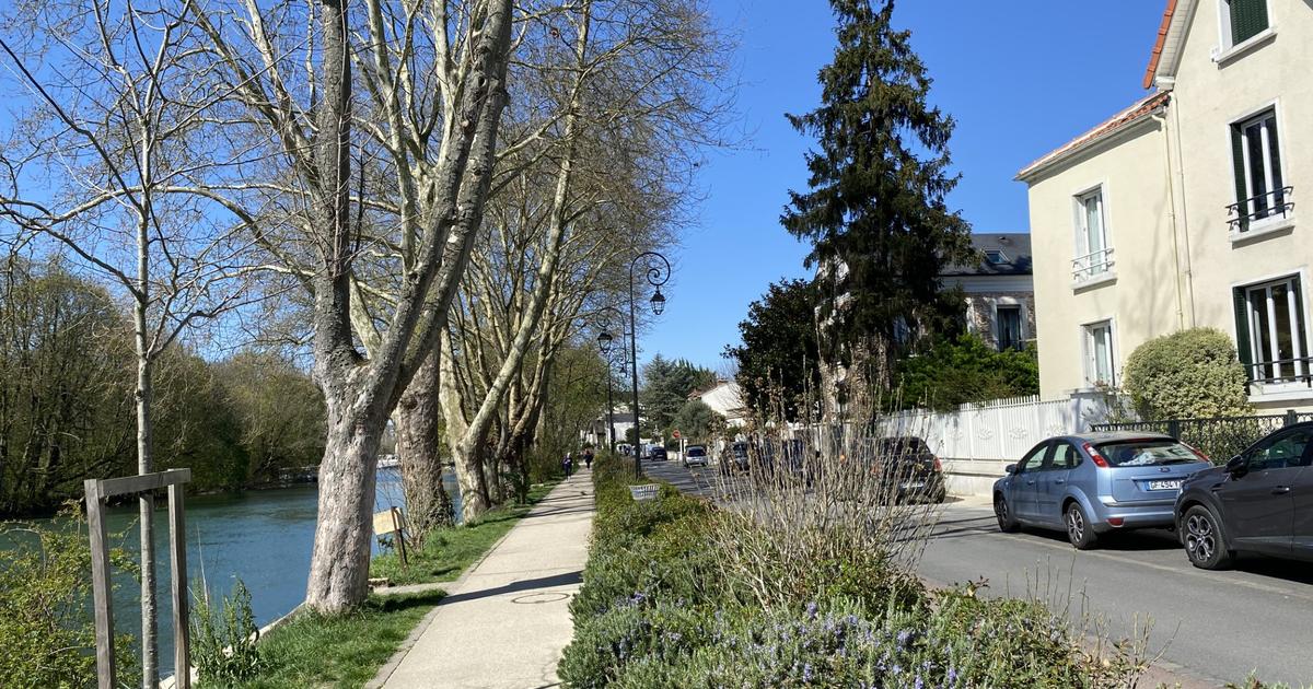 Val-de-Marne : une femme bÃ¢illonnÃ©e et ligotÃ©e par quatre individus, nouveau home-jacking...