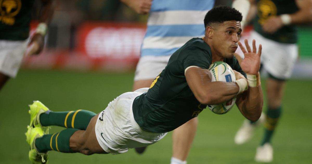 Rugby : le XV de France est averti, les Springboks possèdent une ...