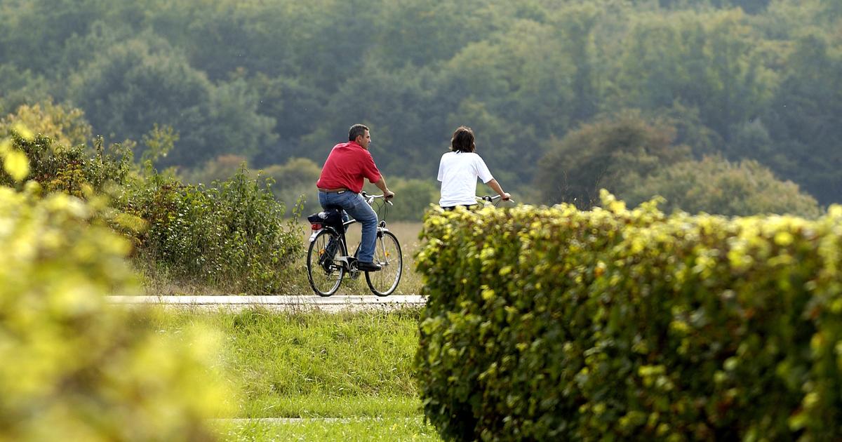 GirondeÂ : un chauffeur mis en examen pour homicide routier aprÃ¨s avoir renversÃ© un...
