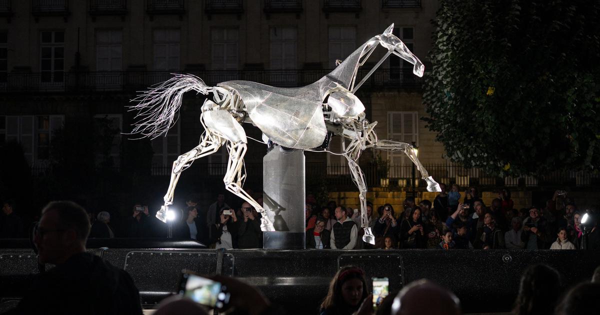 De Paris Ã  Nantes, plus de 1,2 million de personnes ont admirÃ© Zeus, le cheval de la...