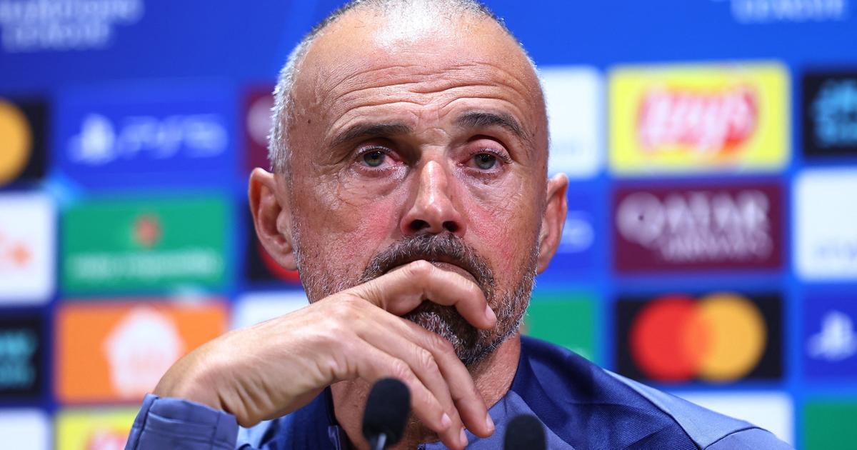 Retour Ã  Barcelone, hÃ©catombe Ã  Paris, Â«Harry PotterÂ»... Les vÃ©ritÃ©s de Luis...