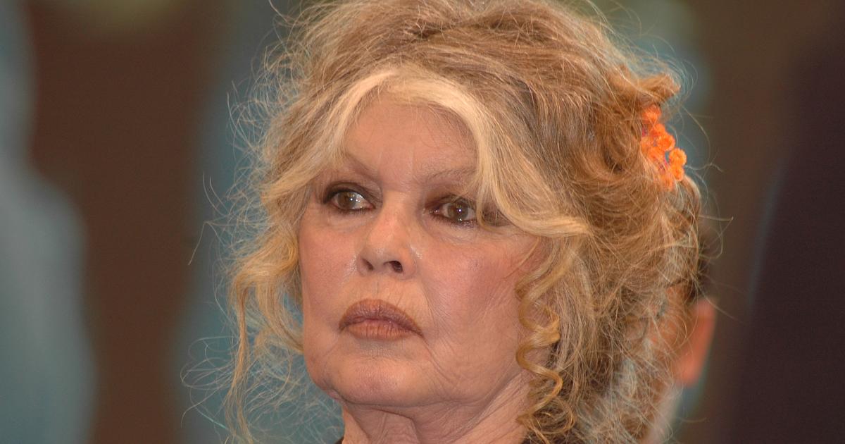 Installée depuis 67 ans à Saint-Tropez, Brigitte Bardot déchante : “Une ville de milliardaires sans charme”