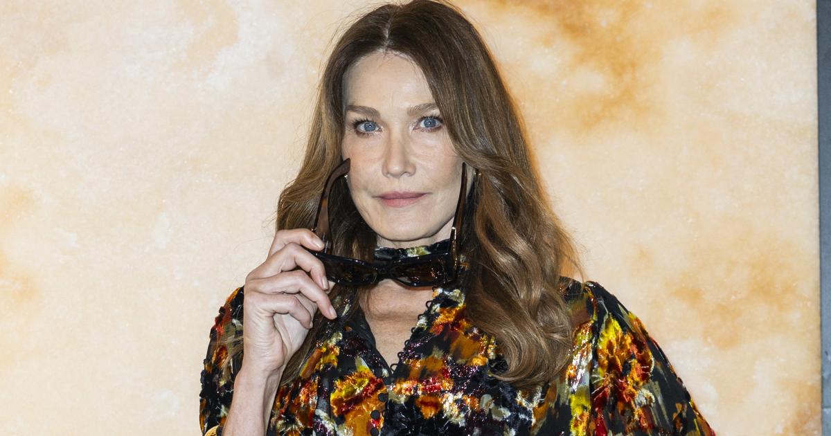 “Ferme-la, Mouchard…” : Carla Bruni ulcérée par un célèbre journaliste, son SMS cinglant révélé