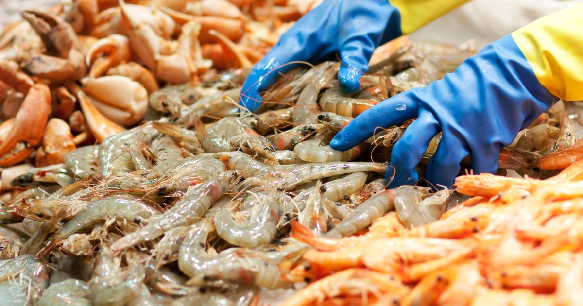 Plusieurs lots de barquettes de crevettes décortiquées rappelés pour des soupçons de listeria