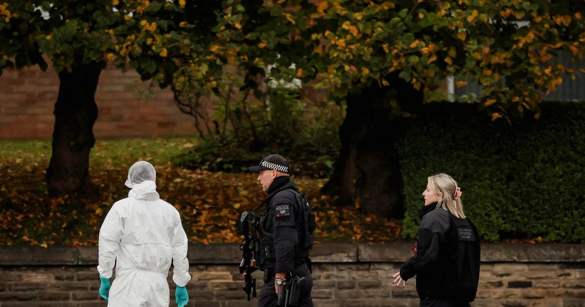 Qui Ã©tait Jihad Al-Shamie, lâ€™auteur prÃ©sumÃ© de lâ€™attaque mortelle prÃ¨s...