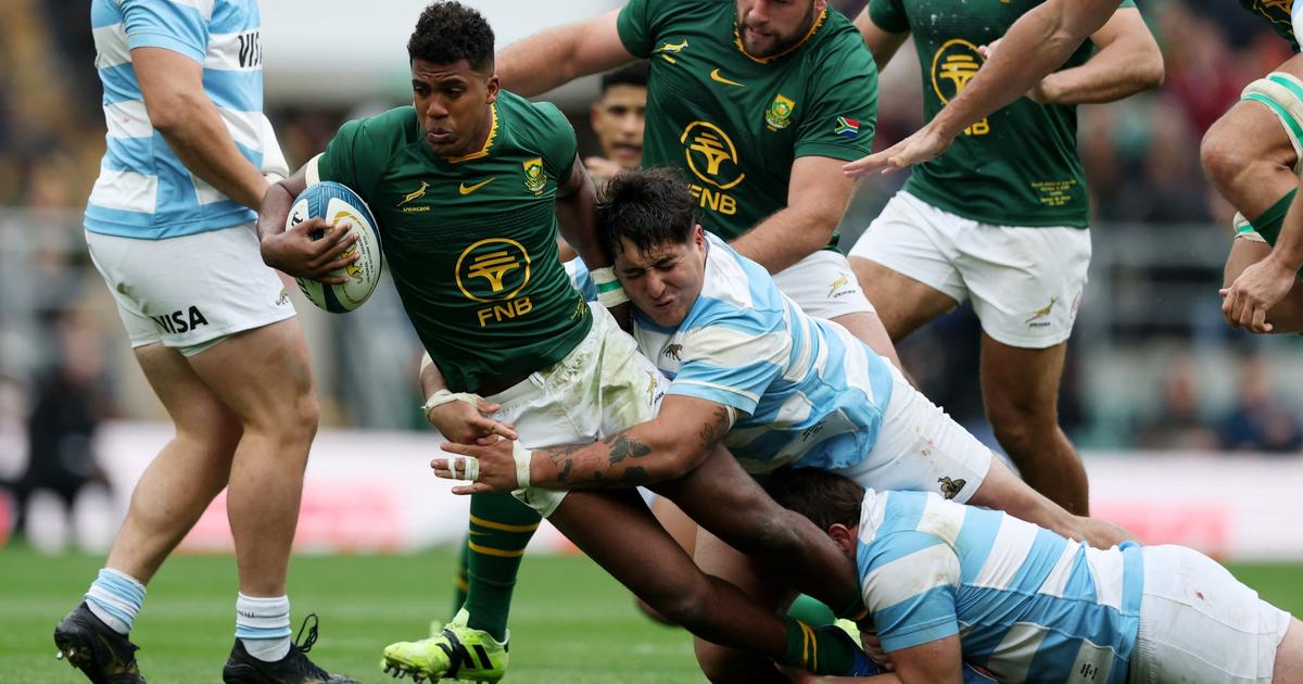 Rugby Championship : avant dâ€™affronter le XV de France en novembre, lâ€™Afrique du Sud...