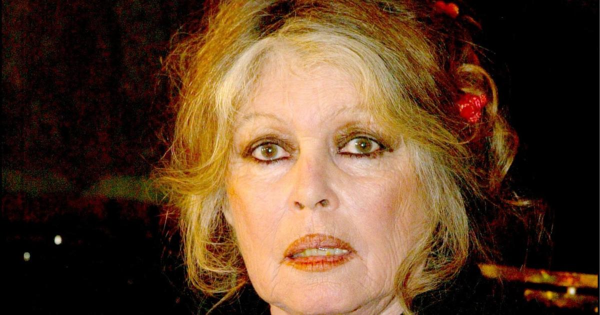 Brigitte Bardot sans langue de bois sur la maternité : “Ça n’en vaut pas la peine”