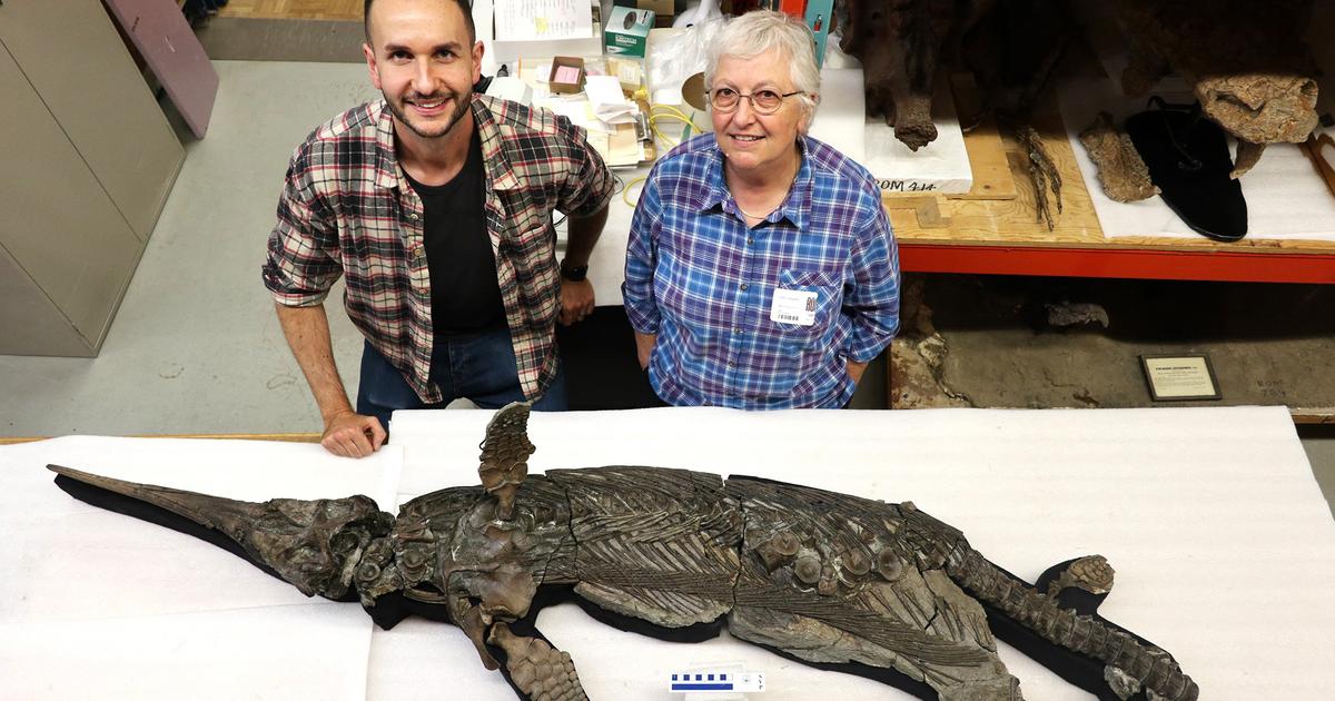 Des chercheurs britanniques dÃ©couvrent un incroyable reptile prÃ©historique Â«de la taille...