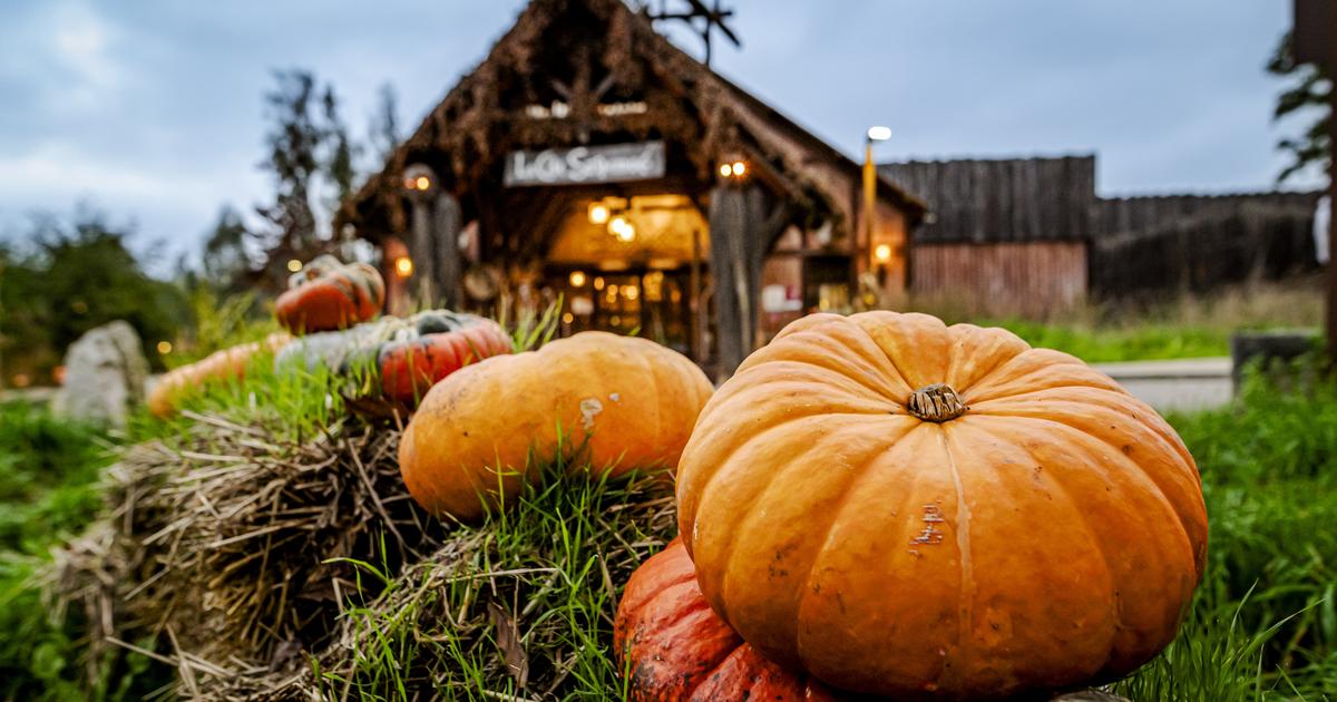 Halloween : tout ce que vous réserve le Parc Astérix pour vivre le grand frisson