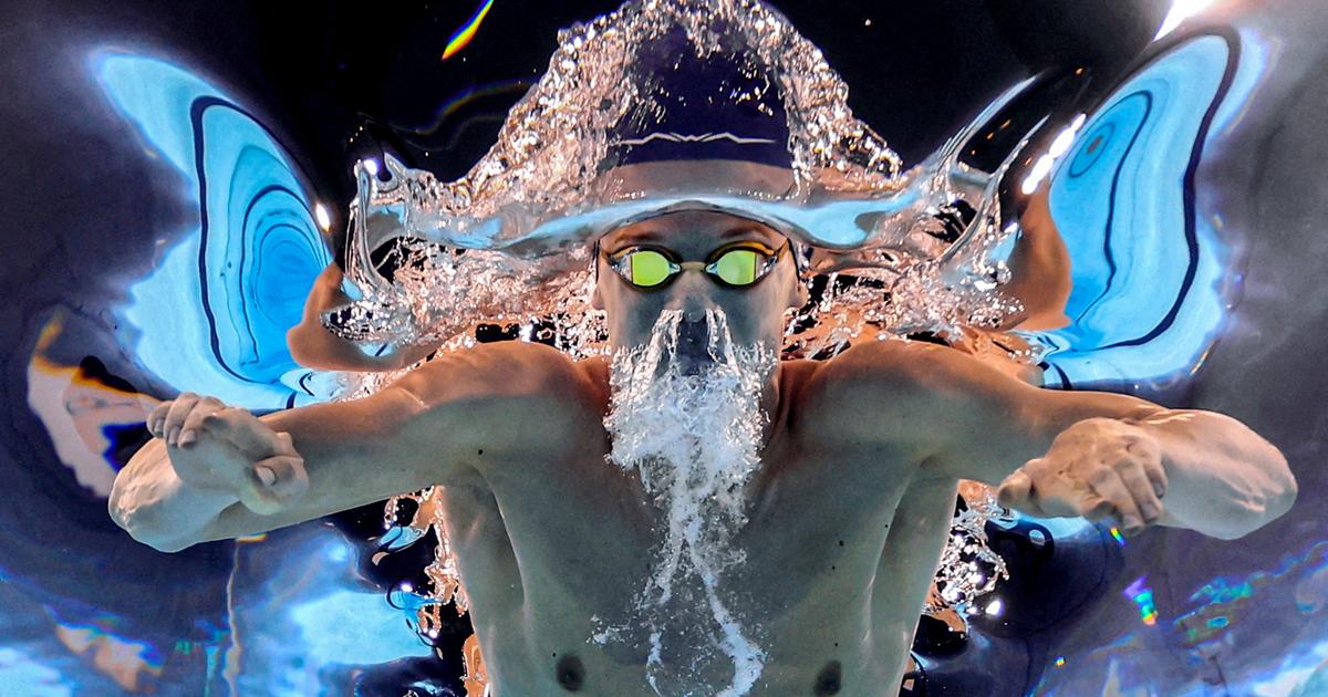 Natation: LÃ©on Marchand battu sur 200 m brasse en petit bassin
