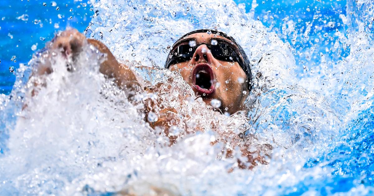 Natation : Shane Ryan, mÃ©daillÃ© de bronze aux Mondiaux de Budapest en 2024, va participer aux...