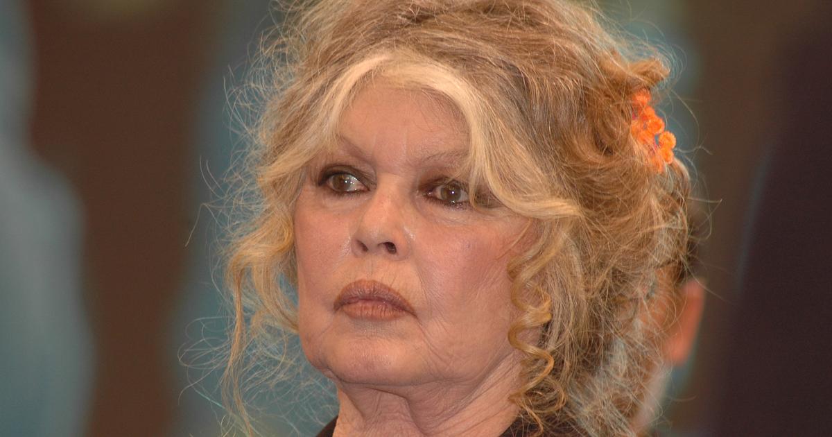 Brigitte Bardot hospitalisée depuis trois semaines : ce que l’on sait sur son état de santé
