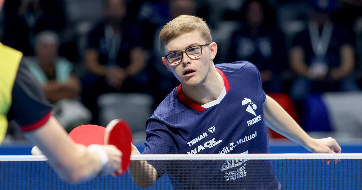 Alexis Lebrun: Duda Law Explained