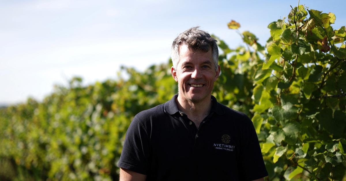 Pour assurer sa «santé à moyen et long terme», le vin anglais mise sur l’export après des vendanges particulièrement réussies