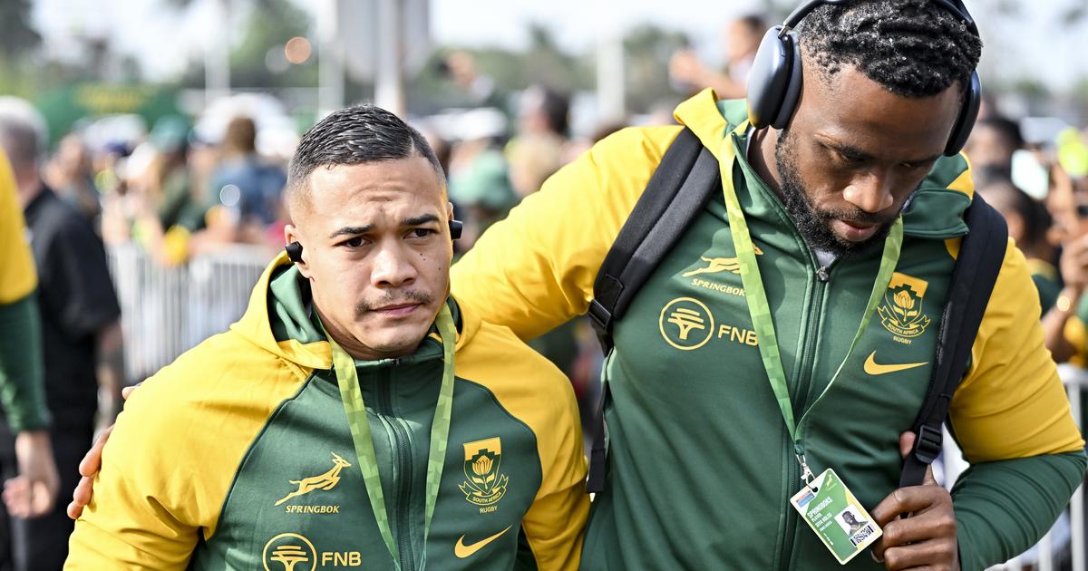 XV de France : le groupe (trÃ¨s relevÃ©) de lâ€™Afrique du Sud pour la tournÃ©e de...