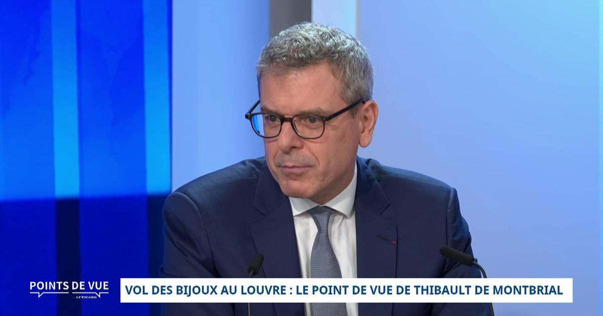 Cambriolage au Louvre: Â«Je mettrais bien une petite piÃ¨ce sur une complicitÃ© interneÂ»,...