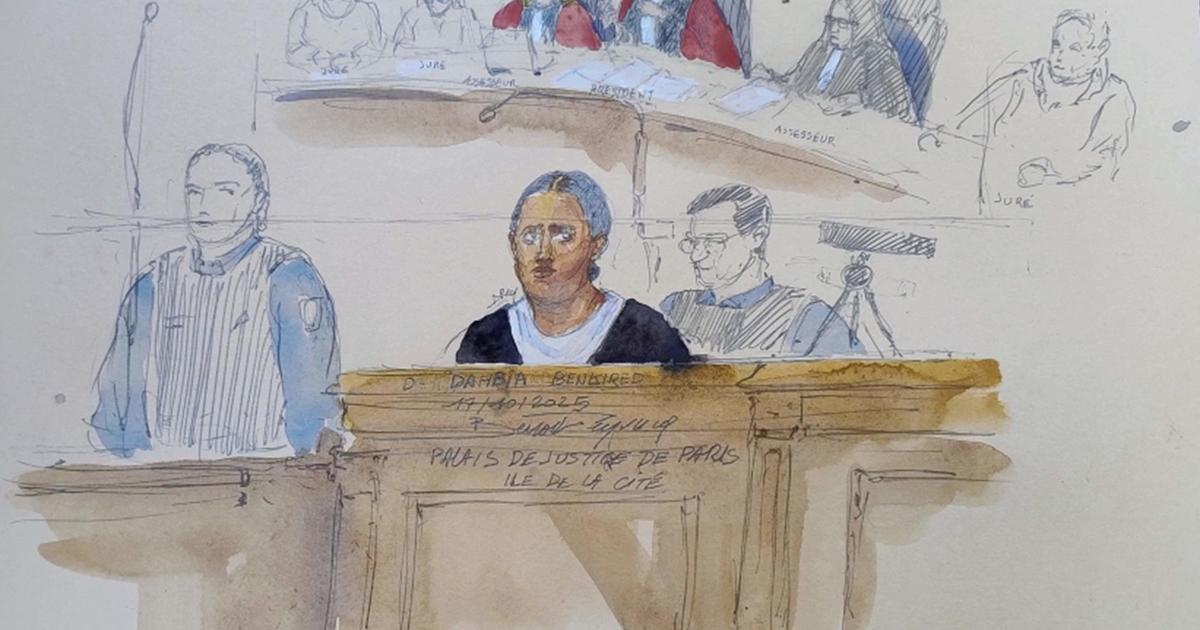 Â«Elle avait un sourire en coinÂ» : les agissements sinistres de Dahbia Benkired dans les...