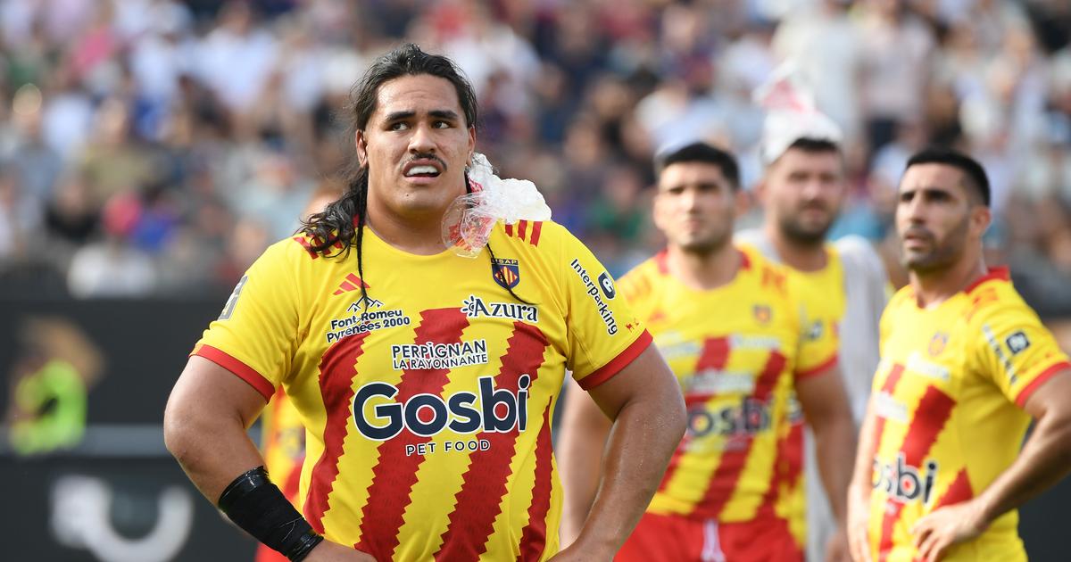 Top 14 : Perpignan va enfin rÃ©cupÃ©rer Posolo Tuilagi