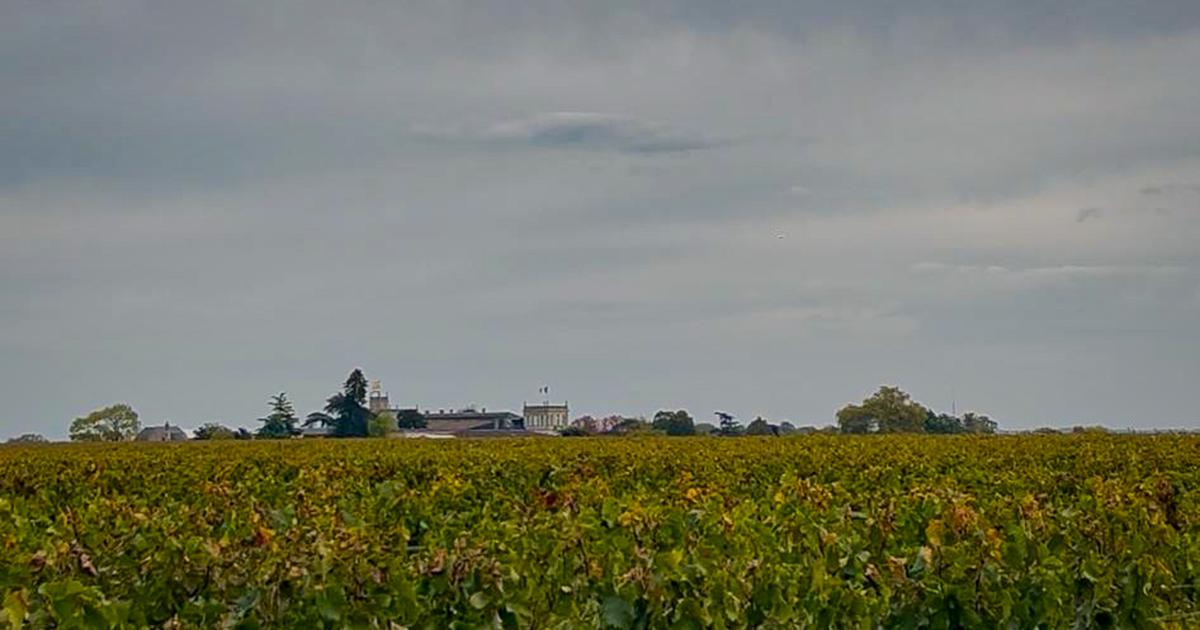 Gironde : 14 kilomètres de cuivre dérobés à un vignoble de grands crus dans le Médoc