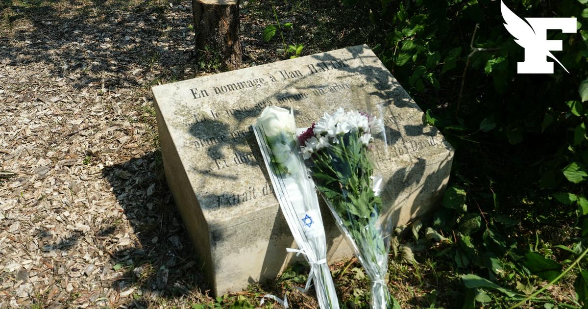 Abattage dâ€™un olivier en hommage Ã  Ilan Halimi : 8 mois de prison ferme et 8 mois avec...