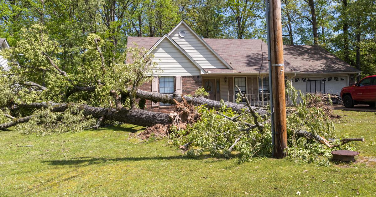TempÃªte Benjamin : ce quâ€™il faut savoir pour se faire indemniser par son assureur