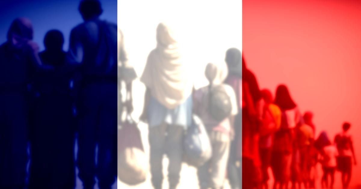 Immigration: pourquoi le nombre de clandestins demeure tabou, alors que son estimation est...