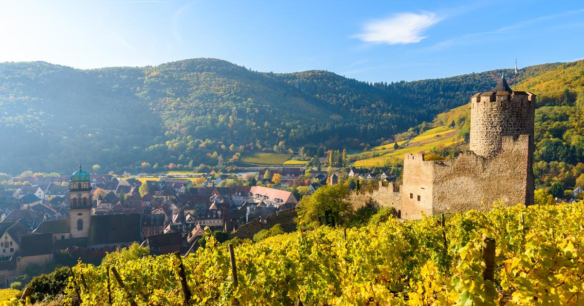 «La plus grande diversité de terroirs au monde» : pourquoi l’Alsace reste la région viticole la plus sous-cotée de France