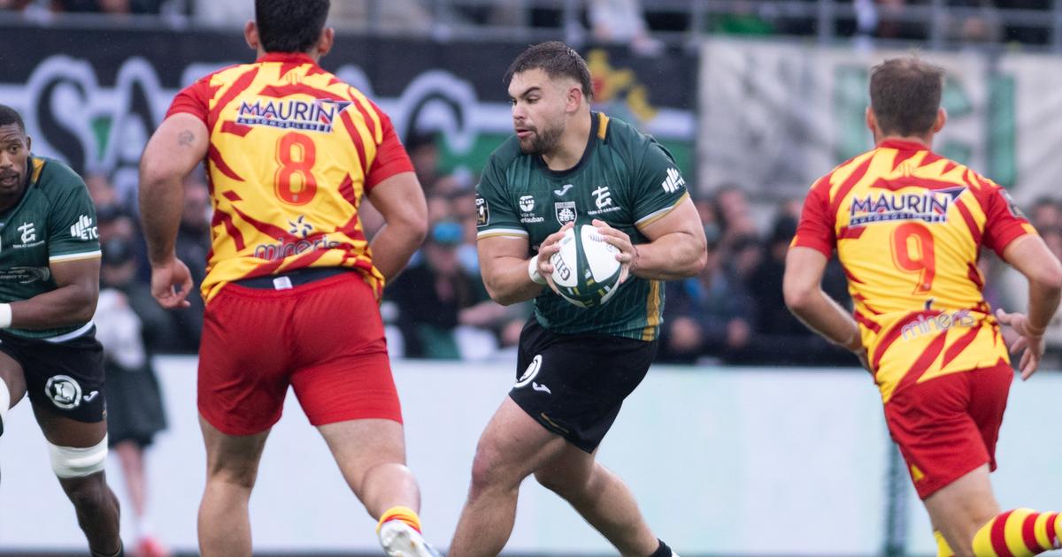 Top 14 : Montauban enfonce Perpignan, le Stade Français seul en tête, bonne opération pour...