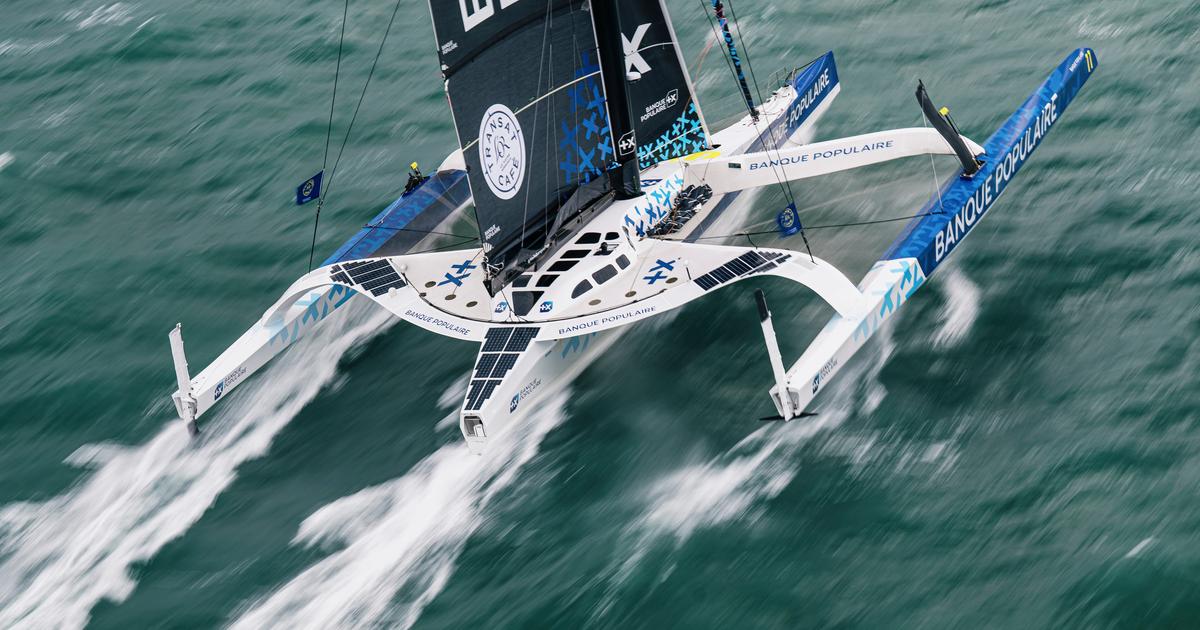 Transat CafÃ© L'Or : Â«Tout est encore possibleÂ», Banque Populaire repart Ã ...
