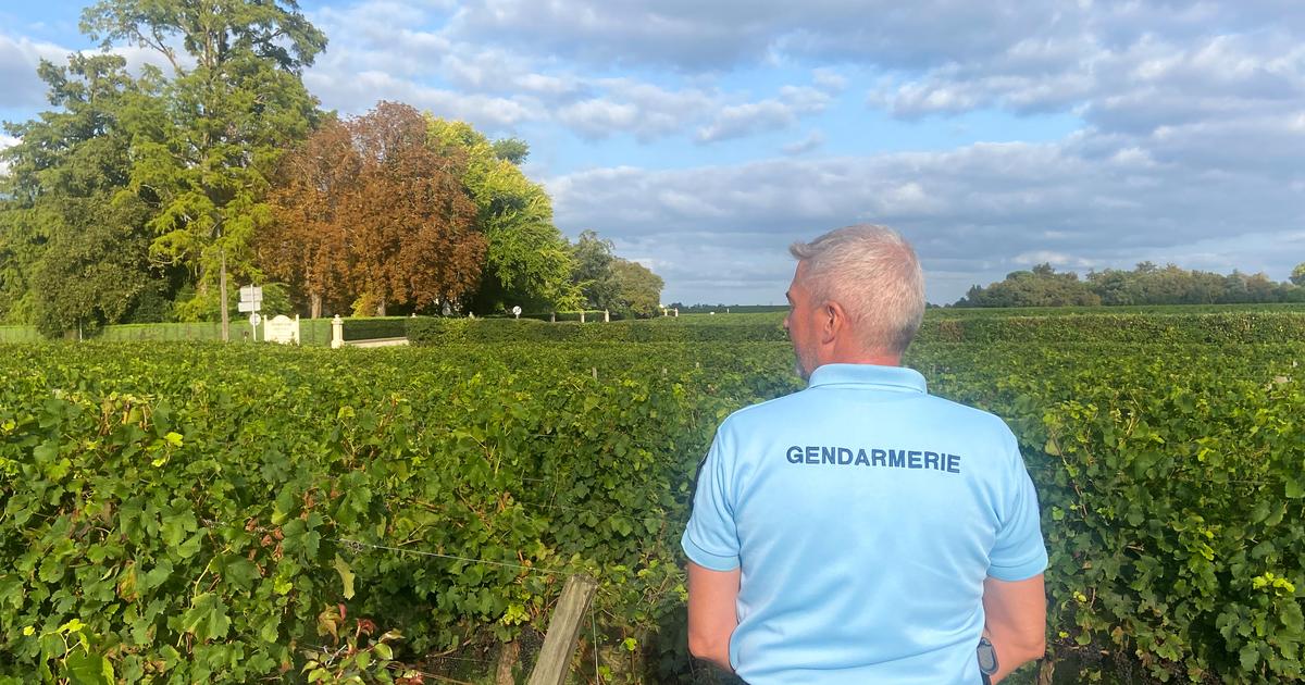 Charente-Maritime : un agriculteur fusillé dans son champ par un voisin, qui se suicide dans la foulée