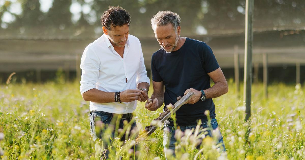 Ces deux frères vendéens qui ont fait fortune grâce à la bave d’escargot