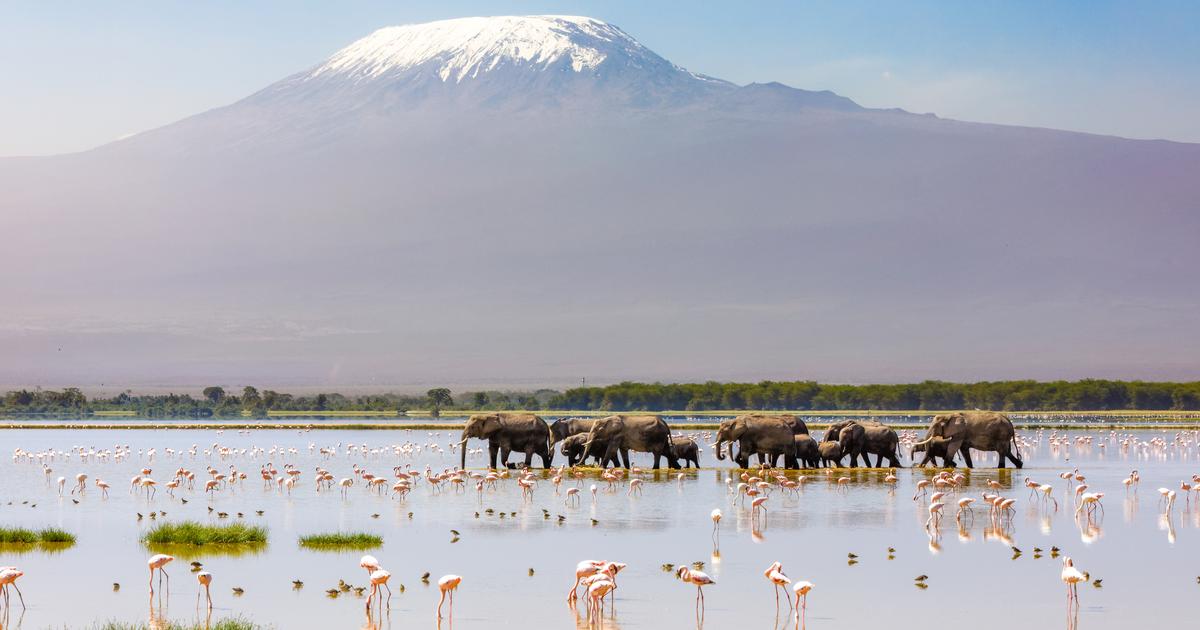 Â«Beaucoup de choses ont changÃ©Â» : au Kenya, comment des rÃ©serves instaurent une...