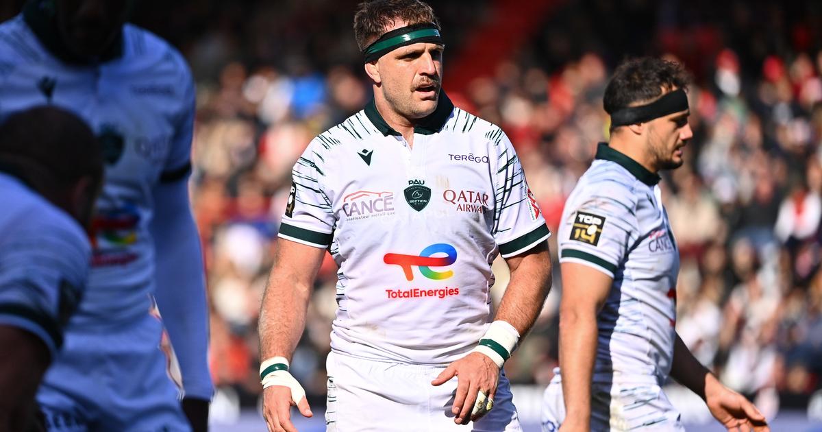 Top 14: Pau perd son capitaine Luke Whitelock mais rÃ©cupÃ¨re ses internationaux avant Perpignan