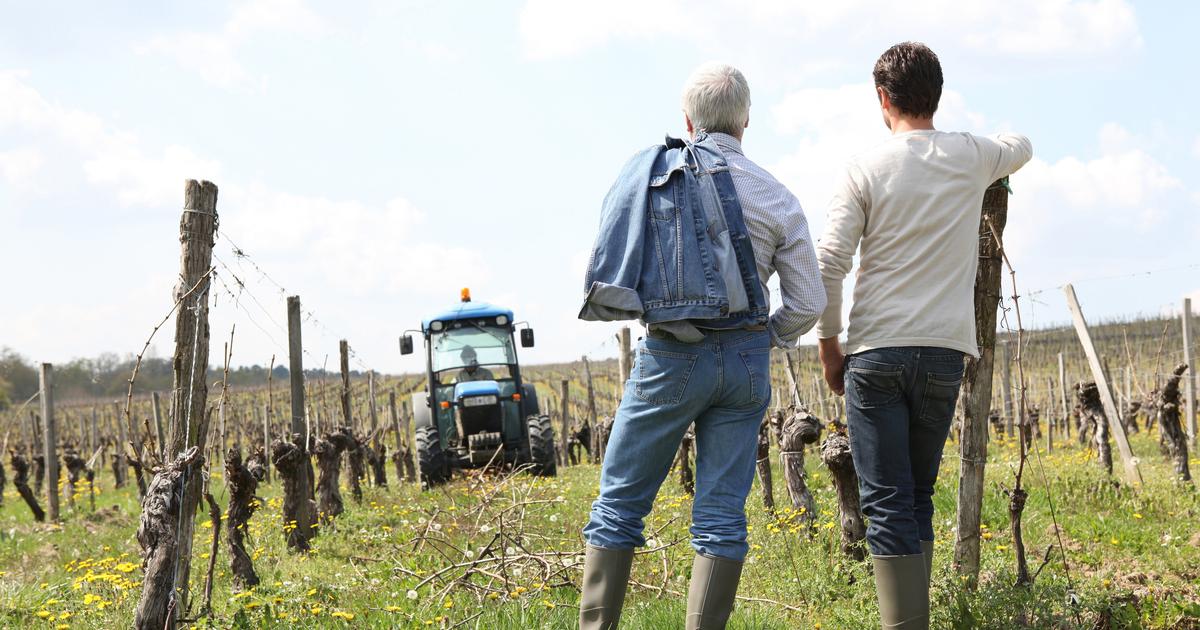 Â«En deux coups de fil, je peux vendre mon domaine Ã  un prix dÃ©lirantÂ» : les successions...
